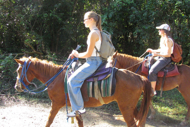Puerto Plata: Horseback Tour of the Beach and Local Community