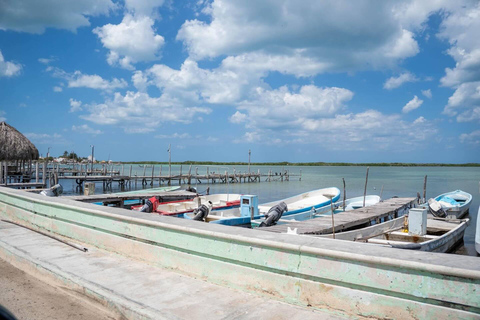 Excursión a Ría Lagartos, Coloradas y Playa CancúnitoMérida: Excursión a Ría Lagartos, Coloradas y Playa de Cancunito