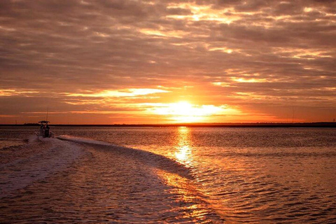 Charleston: Dolphin Discovery Sunset Cruise