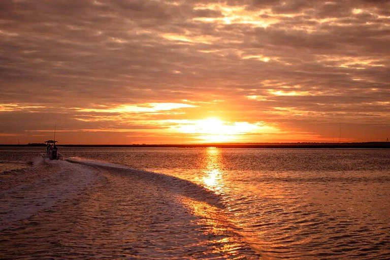 Charleston: Dolphin Discovery Sunset Cruise