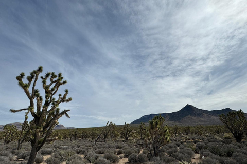 Las Vegas: West Rim, Hoover Dam, Joshua Tree, Welcome Sign