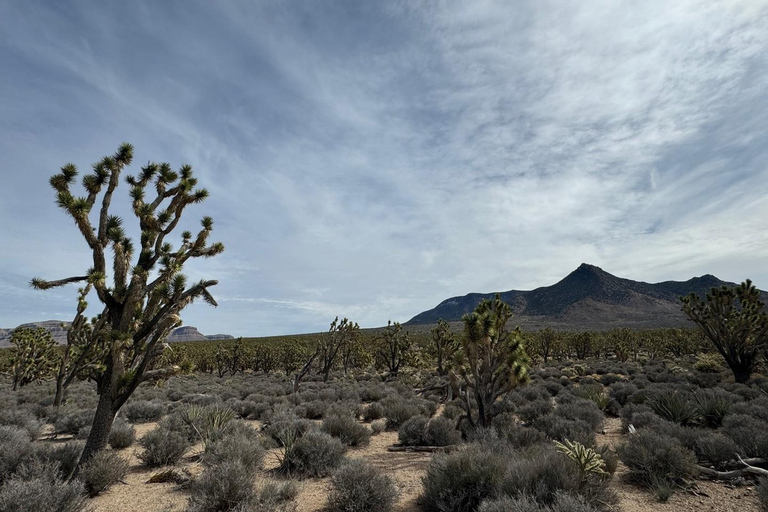 Las Vegas: West Rim, Hoover Dam, Joshua Tree, Welcome Sign
