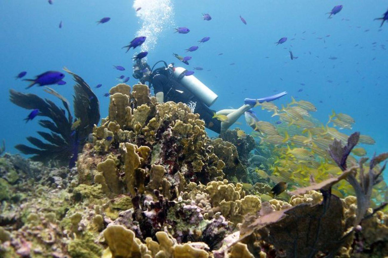 Isla Mujeres : Plongée à 2 bouteilles pour les plongeurs certifiés