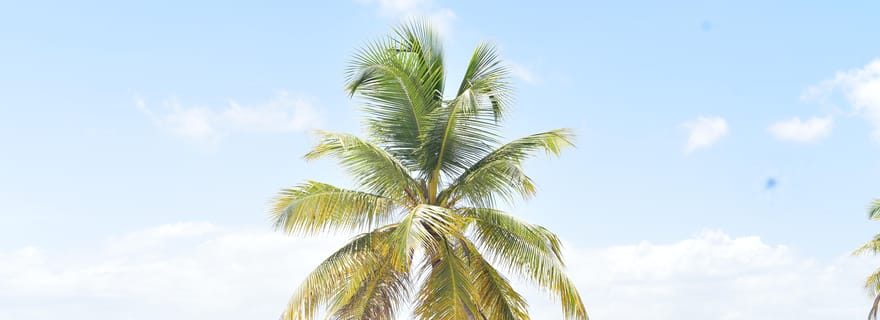 Excursion sur l'île Saona au départ de Saint-Domingue avec déjeuner