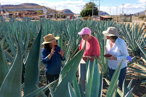 Oaxaca: Tour Raízes Zapotecas, Mezcal e Têxteis