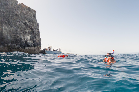 Tenerife: Kayak & Snorkeling Tour - Small Groups