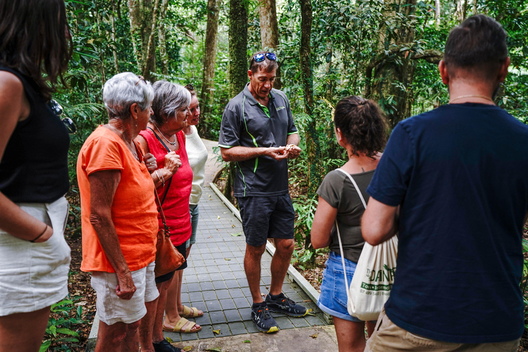 Depuis Port Douglas : Expérience totale de la Daintree en petit groupePort Douglas : Expérience totale de la Daintree en petit groupe