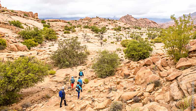 Marrakech : 5 jours de randonnée dans les montagnes de l'Atlas et les villages berbères - trekking