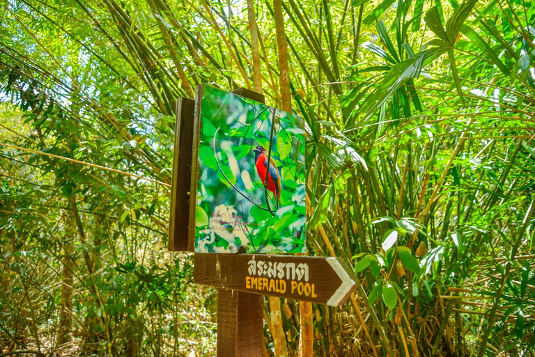 Escapada Privada a Krabi: Piscina Esmeralda, Aguas Termales y Cueva del TigreFurgoneta privada