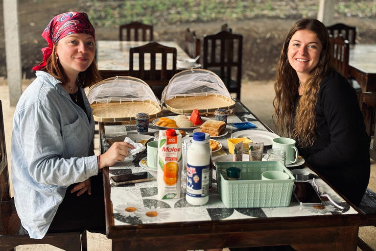 Chiang Mai 2-Day: Good Morning Elephant & Overnight Homestay