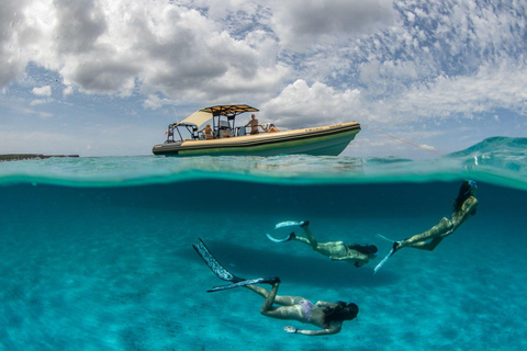 Formentera Natural Park: Snorkeling Experience