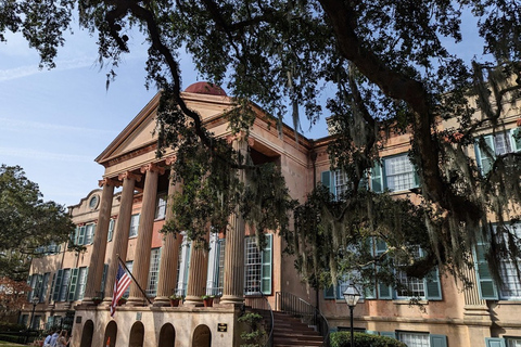 Charleston: Historic District &amp; Plantation VIP Private Tour