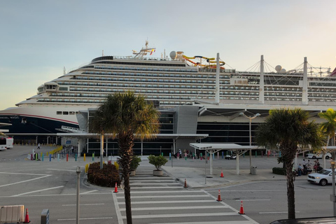 Miami Combo: Everglades Adventure and Sightseeing Tour Combo - Downtown Miami pickup