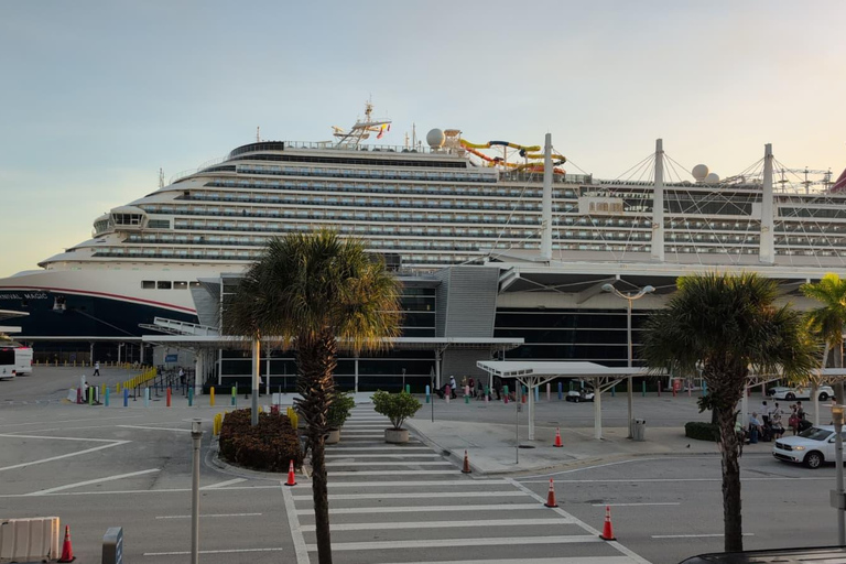 Miami Combo: Everglades Adventure and Sightseeing Tour Combo - Downtown Miami pickup