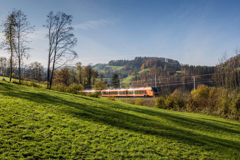 Voralpen-Express: Journey between St. Gallen & Rapperswil One-way ticket from Rapperswil to St. Gallen (1st class)