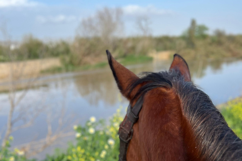 Guided tour on horseback through the guadalhorce valley