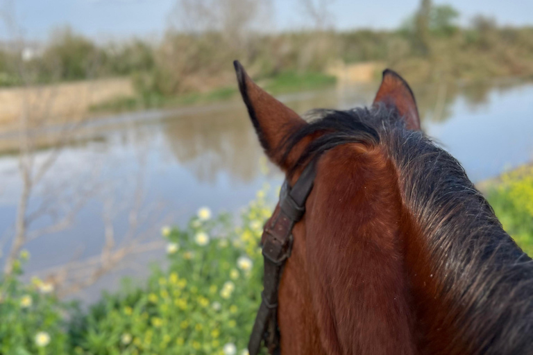Guided tour on horseback through the guadalhorce valley