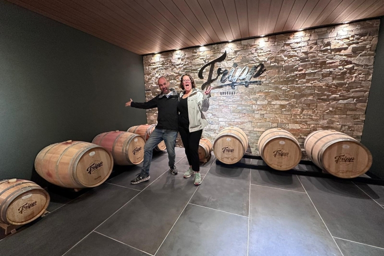 Colonia Wine Experience naar de oudste wijnmakerij in UruguayBezoek de oudste wijnmakerij van Colonia