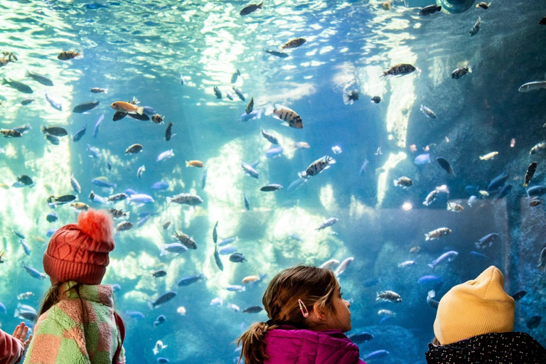 Toronto: Toronto Zoo Entry Ticket