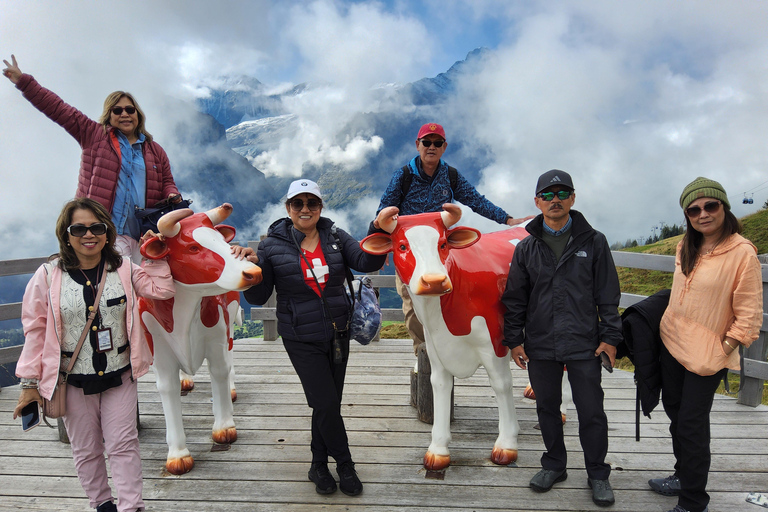 Zürich: Jungfrau Region Day Trip with Train and Hidden Gem