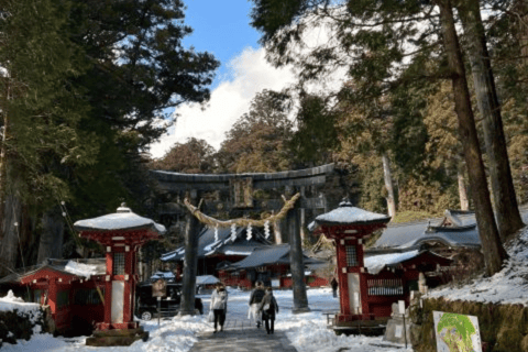 From Tokyo: Nikko Private Tour In Luxury Prado Lowest Price