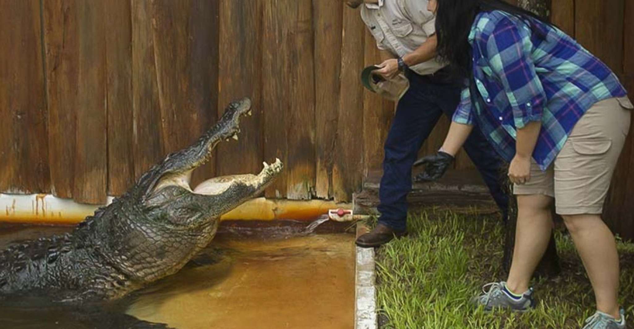 Orlando: Gatorland Interactive Tour with Animal Trainer