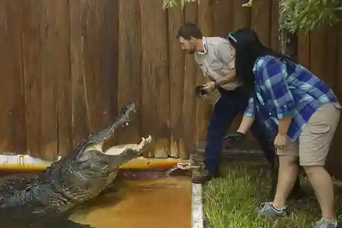 Orlando: Gatorland Interactive Tour med djurtränare