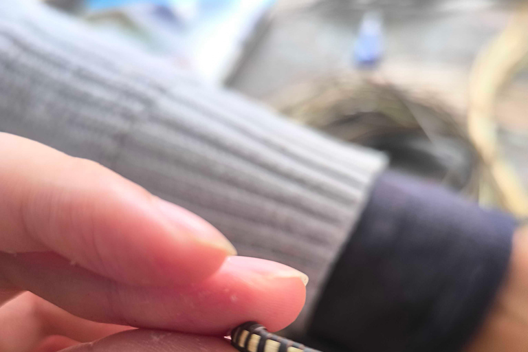 Phnom Penh: laboratorio di braccialetti e anelli in legno del monte KirirumPhnom Penh: Laboratorio di braccialetti e anelli in legno del monte Kirirum