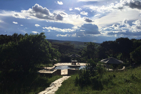 From Nairobi: Maasai Mara Fly-In Safari with Picnic