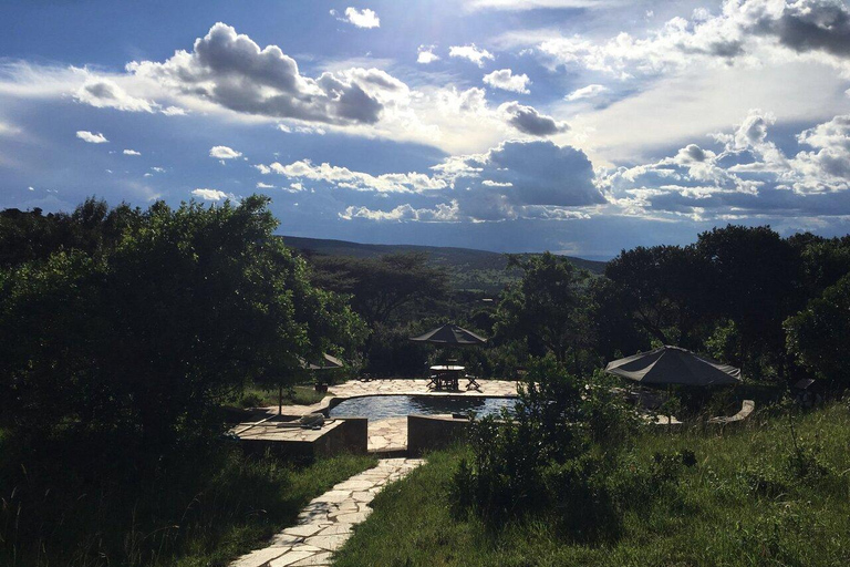 From Nairobi: Maasai Mara Fly-In Safari with Picnic