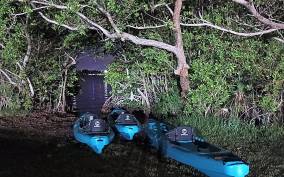 Space Coast FL: Guided Bioluminescence tours and Eco-tours,