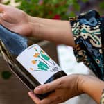 Marsala: tour in cantina e degustazione di 4 bianchi autoctoni