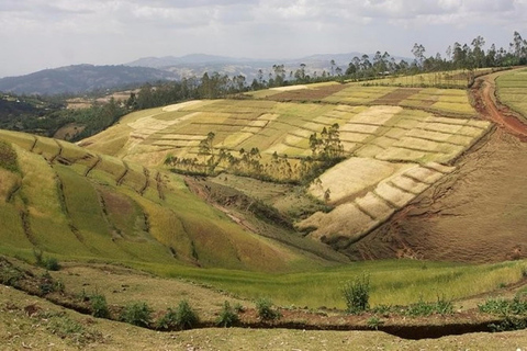 Z Addis Abeby: Adadi Mariam, Tiya i Melka Kunture Day...