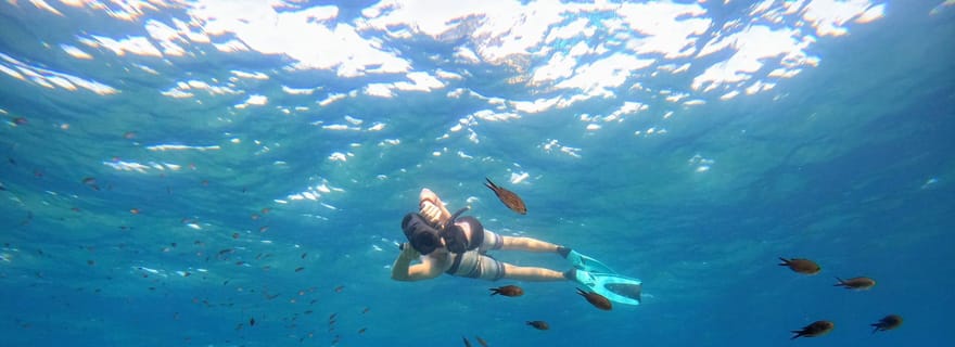 Nice, Beaulieu-sur-Mer : excursion de snorkeling en scooter des mers