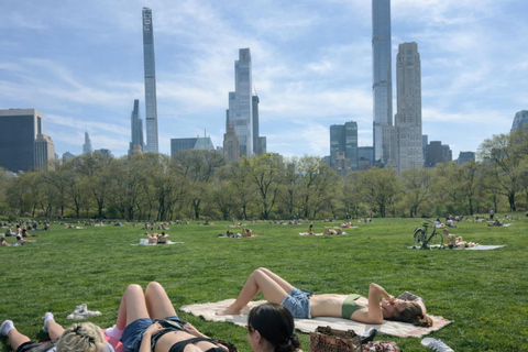 New York: Private Central Park Tour with Luxury Picnic