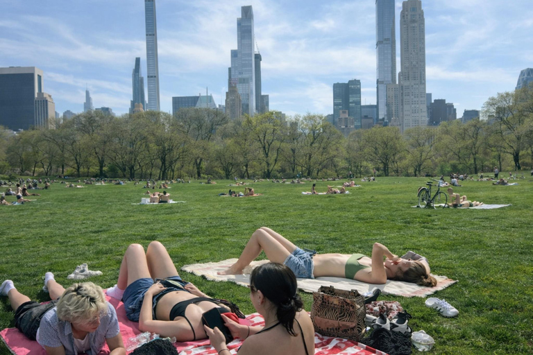 New York: Private Central Park Tour with Luxury Picnic