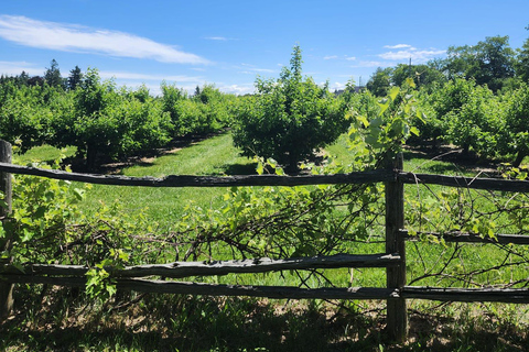 Inspired by Schitt's Creek TV Show - Filming Locations Tour