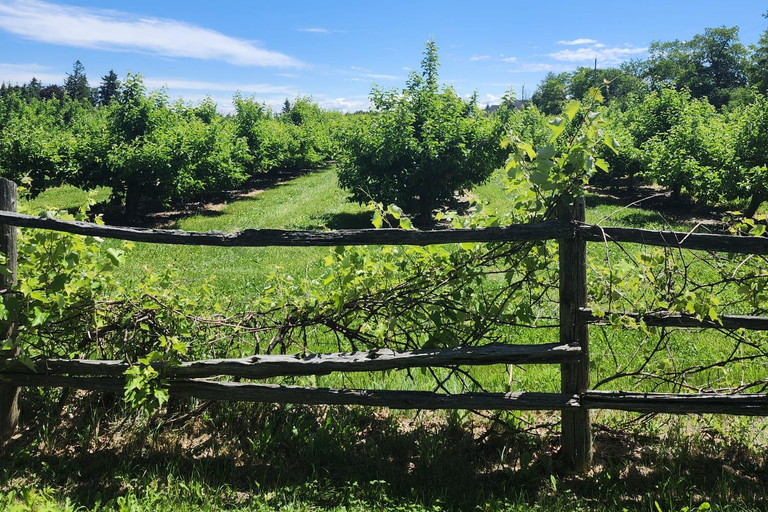 Inspired by Schitt's Creek TV Show - Filming Locations Tour