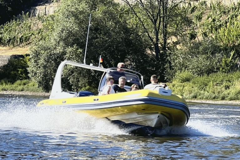 Dresden: 2h Private Boat Tour up to 10 Persons powerful RIB