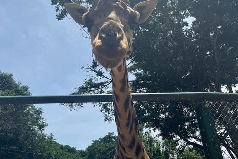 From Kampala: Entebbe Zoo, Reptile Village, & Gardens Tour