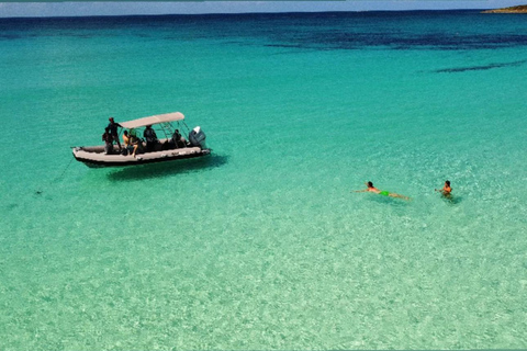 St. Martin: Snorkeling Day Trip by Boat to Tintamarre and Creole Rock St. Martin: Snorkeling Boat Excursion to Tintamarre and Creole Rock
