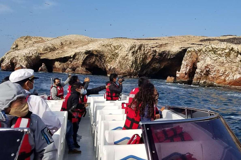 De Ica: Ilhas Ballestas + Reserva Nacional de Paracas