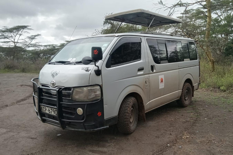 Masai Mara from Nairobi Transfer
