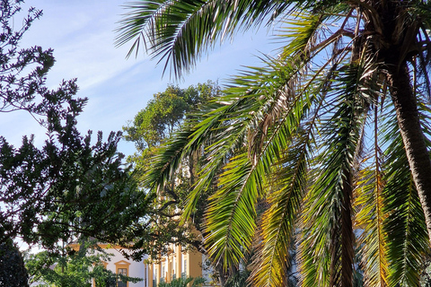 Terceira Island: Full Day South Coast Tour Terceira Island: Full-Day South Coast Tour