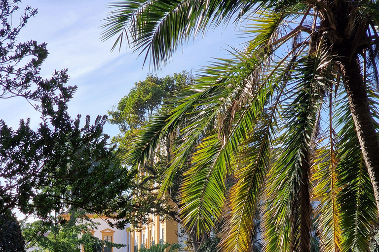 Terceira Island: Full Day South Coast Tour Terceira Island: Full-Day South Coast Tour