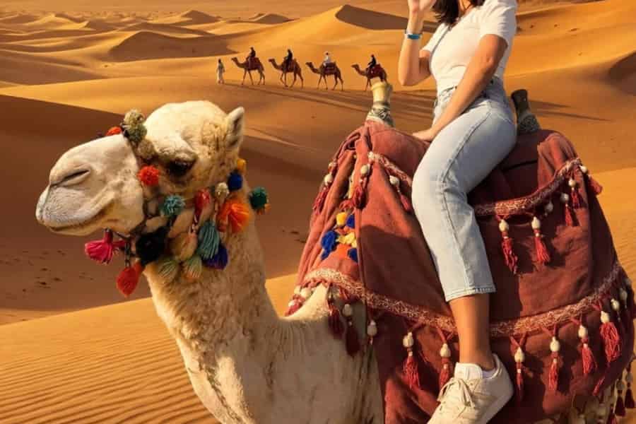 Hurghada: Sonnenuntergang in der Oase mit Kamelreiten & Sternen. Foto: GetYourGuide Hurghada: Sonnenuntergang in der Oase mit Kamelreiten & Sternen. Foto: GetYourGuide