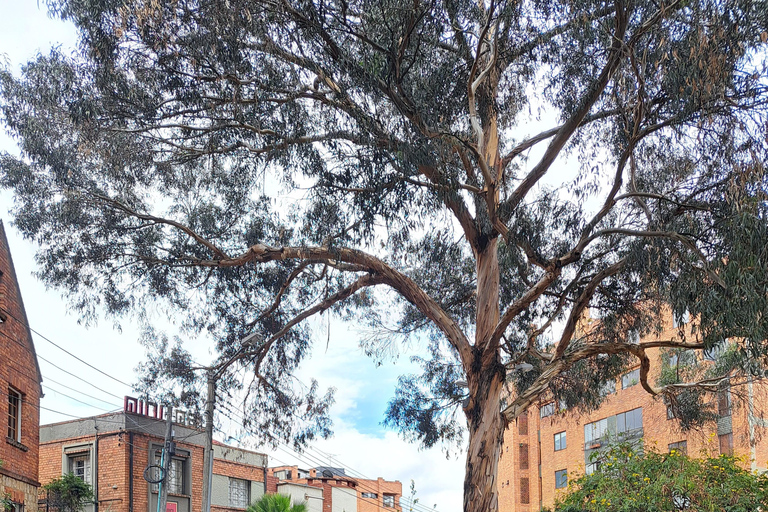 Tour storico di Chapinero - Il quartiere più vivace di BogotáTour storico del Chapinero - il quartiere più vivace di Bogotà