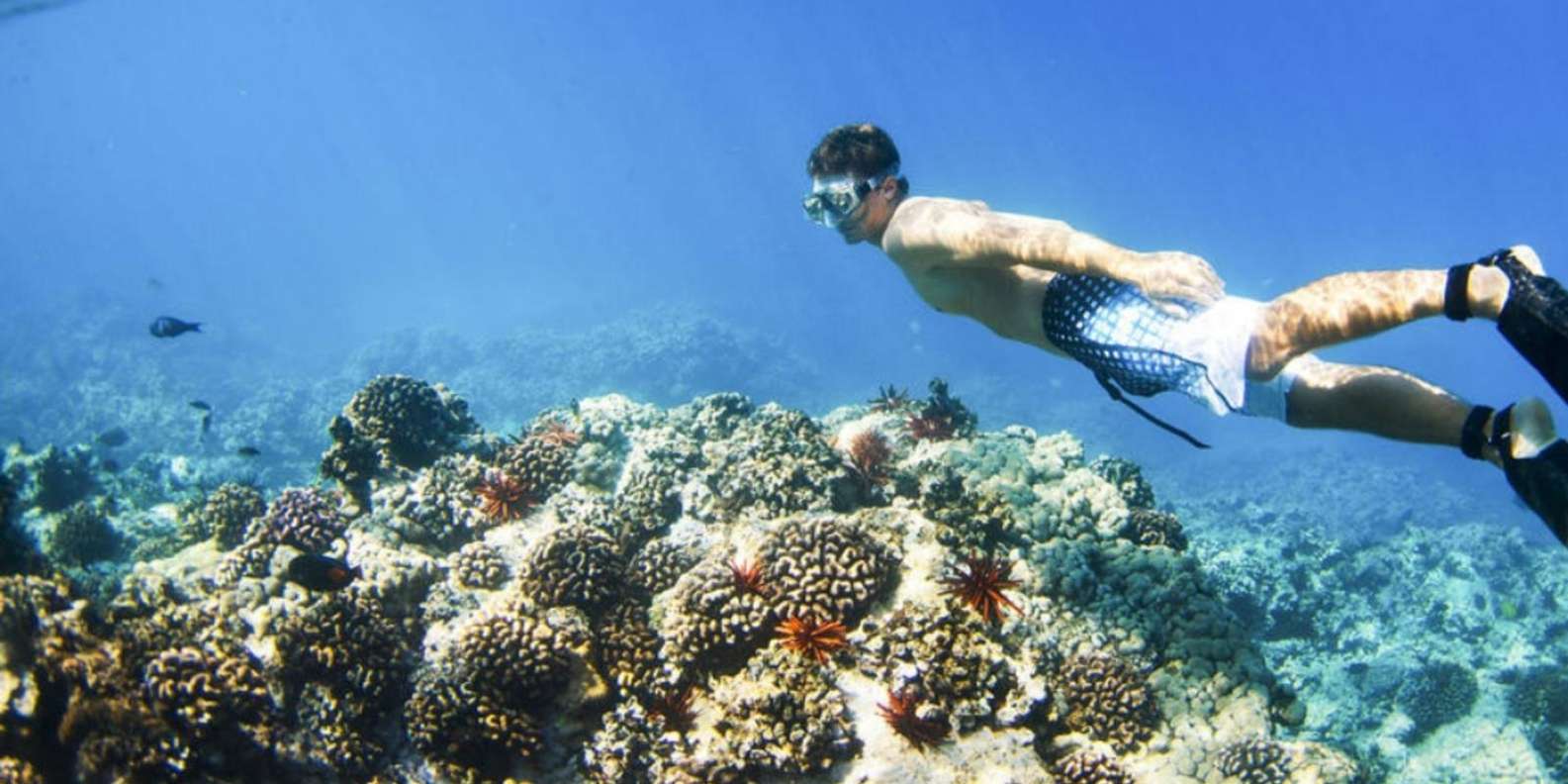 From Bali: Nusa Penida Snorkeling & Island Tour Special Trip