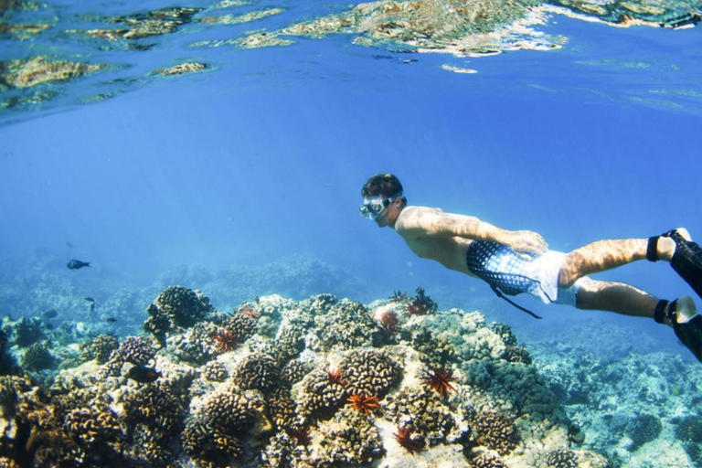 Snorkling på Bali: Snorkling vid Blå lagunen och Tanjung Jepun med lunch