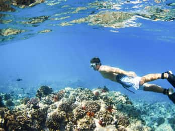 Bali: Blue Lagoon Snorkeling Inclusive of Lunch & Transport